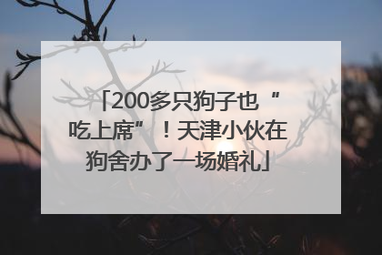 200多只狗子也“吃上席”！天津小伙在狗舍办了一场婚礼