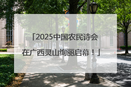 2025中国农民诗会在广西灵山绚丽启幕！