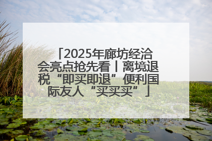 2025年廊坊经洽会亮点抢先看丨离境退税“即买即退”便利国际友人“买买买”