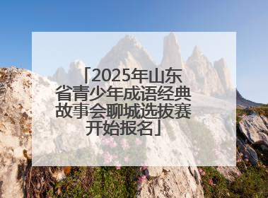 2025年山东省青少年成语经典故事会聊城选拔赛开始报名