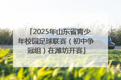 2025年山东省青少年校园足球联赛（初中争冠组）在潍坊开赛