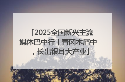 2025全国新兴主流媒体巴中行丨青冈木屑中，长出银耳大产业