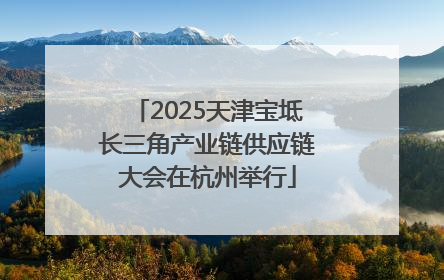 2025天津宝坻长三角产业链供应链大会在杭州举行