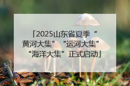 2025山东省夏季“黄河大集”“运河大集”“海洋大集”正式启动