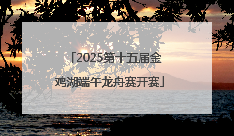 2025第十五届金鸡湖端午龙舟赛开赛