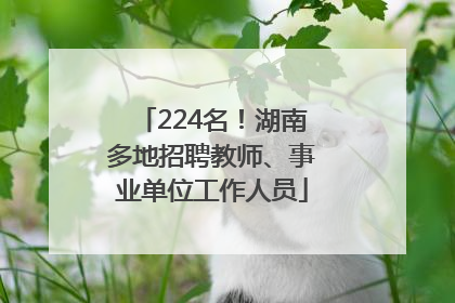 224名！湖南多地招聘教师、事业单位工作人员