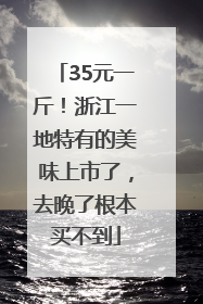 35元一斤！浙江一地特有的美味上市了，去晚了根本买不到