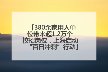 380余家用人单位带来超1.2万个校招岗位，上海启动“百日冲刺”行动