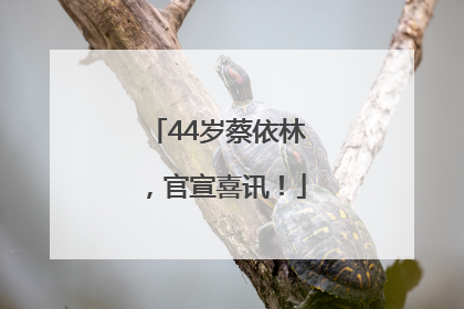 44岁蔡依林，官宣喜讯！