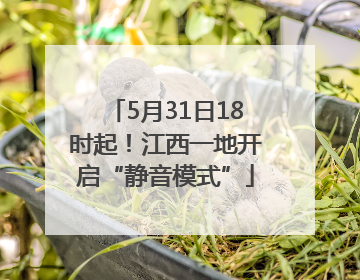 5月31日18时起！江西一地开启“静音模式”