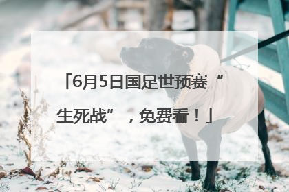 6月5日国足世预赛“生死战”，免费看！