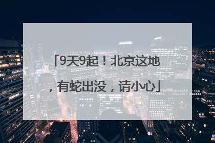 9天9起！北京这地，有蛇出没，请小心