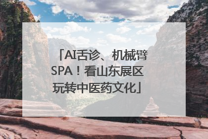 AI舌诊、机械臂SPA！看山东展区玩转中医药文化