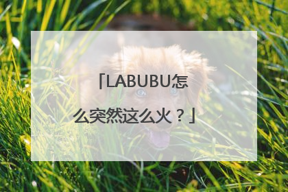 LABUBU怎么突然这么火？